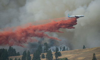 Illustration for article titled The Comprehensive Flight Club Guide To Damn Near Every Firefighting Aircraft